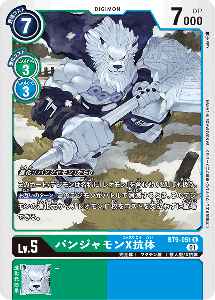 BT9-051 パンジャモンX抗体
