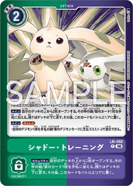 LM-060 シャドー・トレーニング