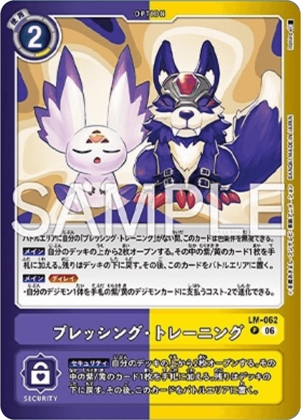 LM-062 ブレッシング・トレーニング