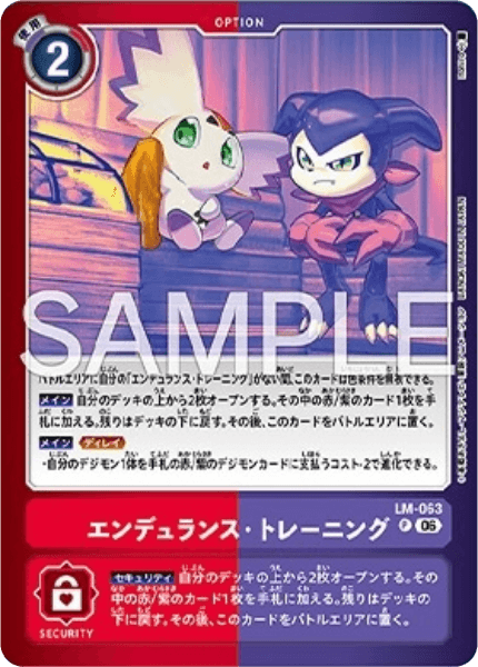 LM-063 エンデュランス・トレーニング
