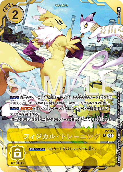 P-105 フィジカル・トレーニング