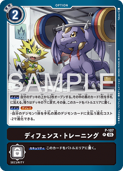 P-107 ディフェンス・トレーニング