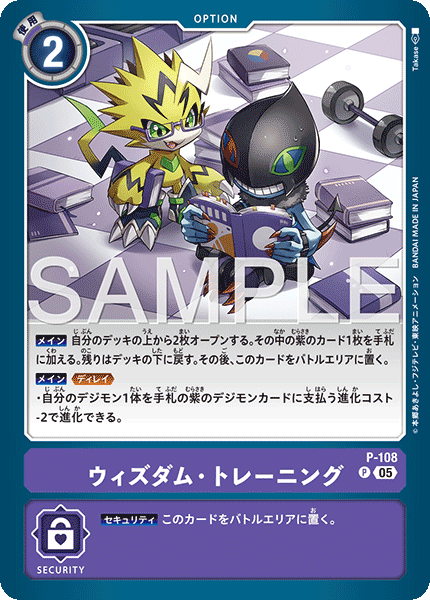 P-108 ウィズダム・トレーニング