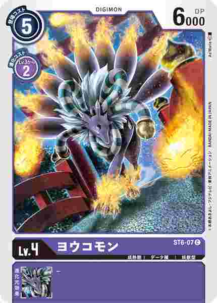ST6-07 ヨウコモン