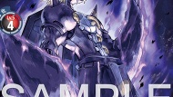 EX10-010 ブラックウォーグレイモンACE